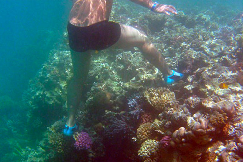 Coral Reef Tourism Damage